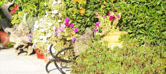 7 bedrooms Commercial property in Zakynthos, Greece No. 504 10