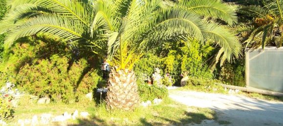 7 bedrooms Commercial property in Zakynthos, Greece No. 504 9