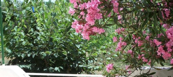 7 bedrooms Commercial property in Zakynthos, Greece No. 504 7