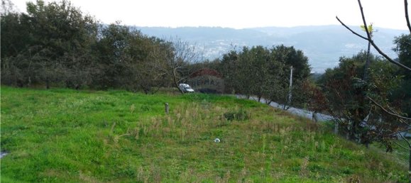 Terreno en Guimaraes, Portugal 3910 m² No. 40909 2