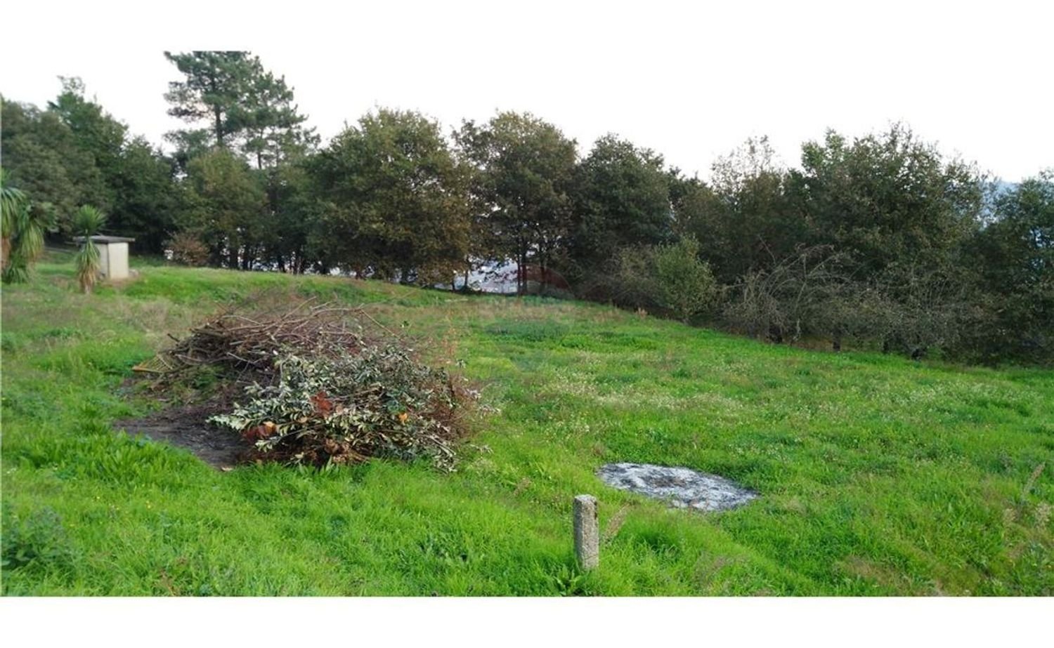 Terreno en Guimaraes, Portugal 3910 m² No. 40909