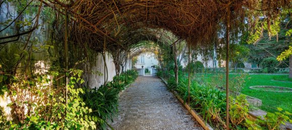 15 bedrooms Villa in Alcanena, Portugal No. 143609 24