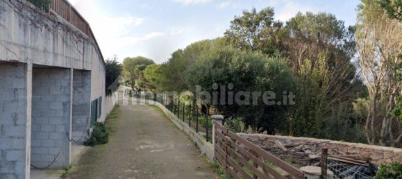 Villa de 6 dormitorios en Tempio Pausania, Italy No. 315172 3