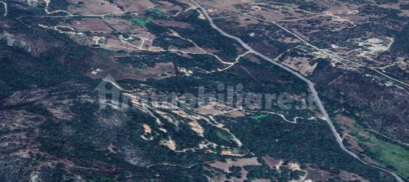 Villa de 6 dormitorios en Tempio Pausania, Italy No. 315172 5