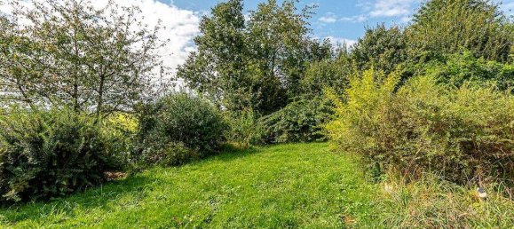 Casa de 5 dormitorios en Oberbergischer, Germany No. 294873 23