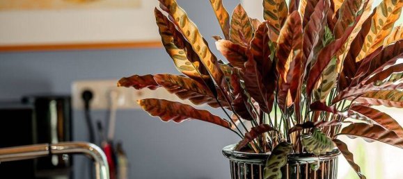 Casa de 5 dormitorios en Oberbergischer, Germany No. 294873 44