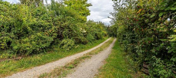 Casa de 5 dormitorios en Oberbergischer, Germany No. 294873 5