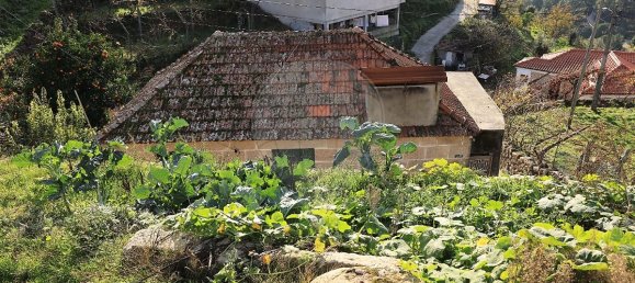 2 Schlafzimmer Haus in Baiao, Portugal, Nr. 25463 2