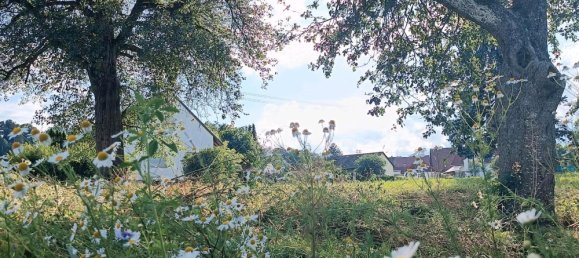 Земельный участок в Баден-Вюртемберг, Германия № 26006 5