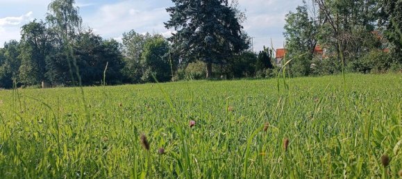 Земельный участок в Баден-Вюртемберг, Германия № 26006 9