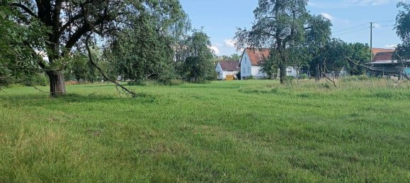 Земельный участок в Баден-Вюртемберг, Германия № 26006 7