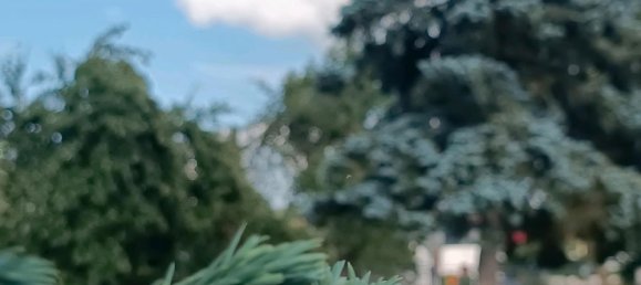 Земельный участок в Баден-Вюртемберг, Германия № 26006 11