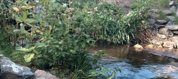 Земельный участок в Баден-Вюртемберг, Германия № 26006 4