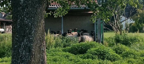 Земельный участок в Баден-Вюртемберг, Германия № 26006 10