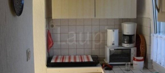 Земельный участок в Бранденбург, Германия № 24370 7