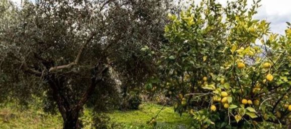 Вилла с 6 спальнями в Айлано, Италия № 325675 12