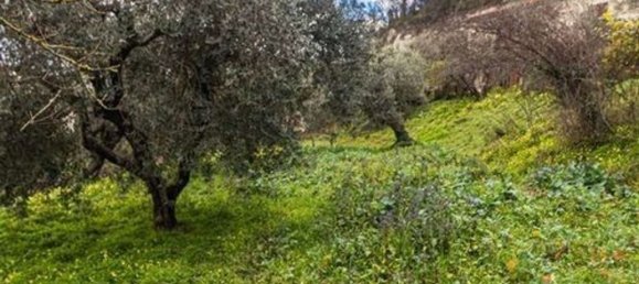 Вилла с 6 спальнями в Айлано, Италия № 325675 16