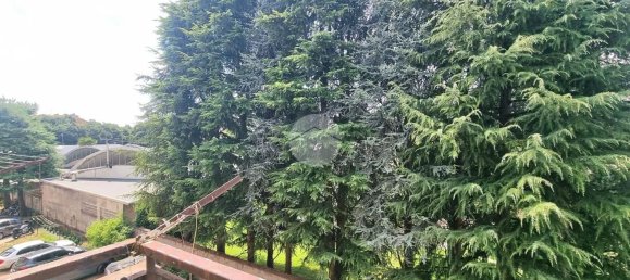 2-Zimmer Wohnung in Busto Arsizio, Italy, Nr. 334153 12