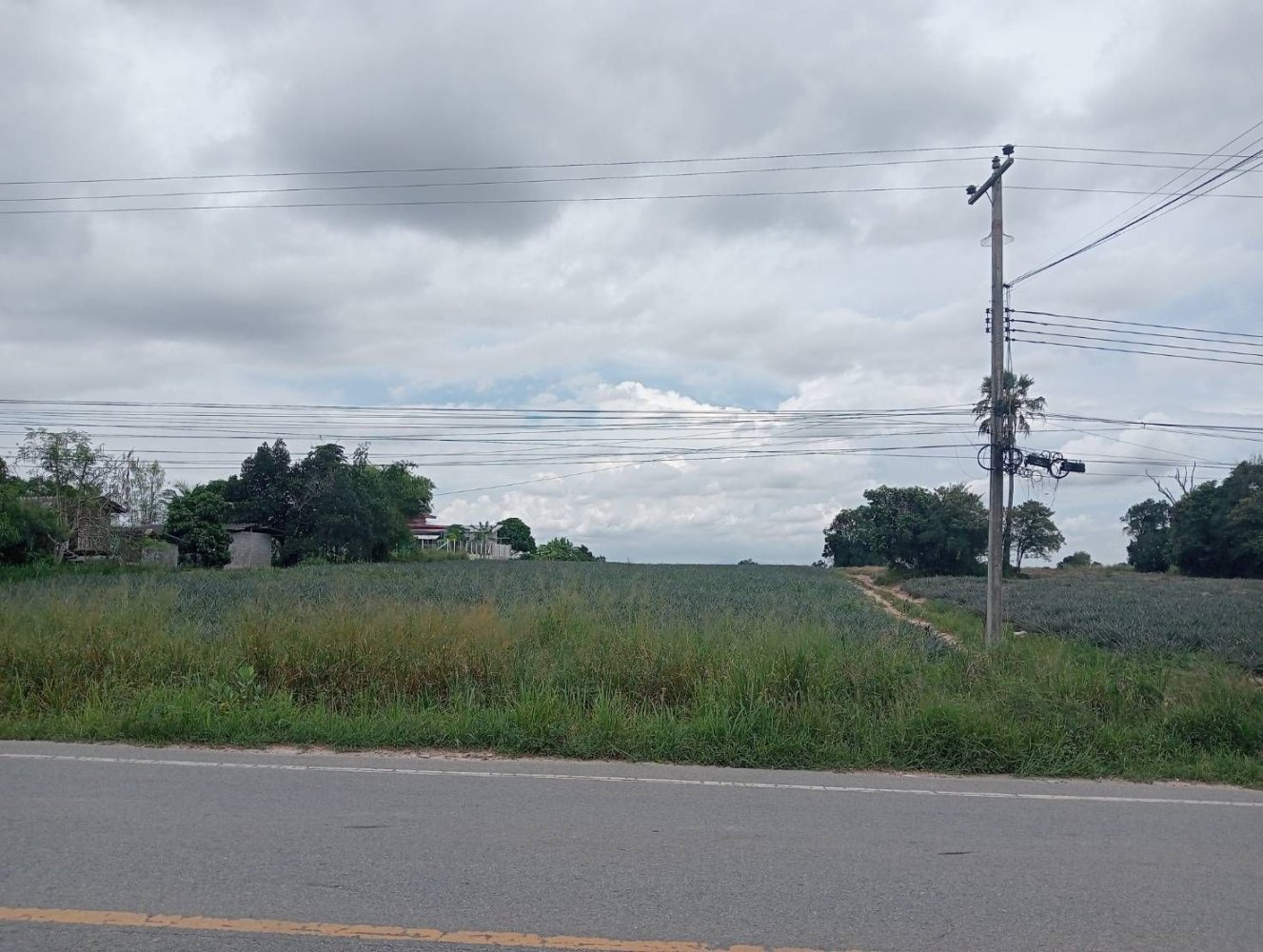 Земельный участок 38400м² в Районг, Таиланд № 74399