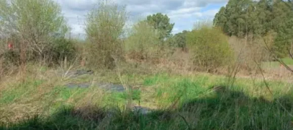 Grundstück in A Estrada, Spain, Nr. 82498 9