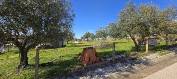  Land in Alandroal, Portugal No. 239418 5