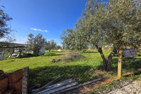  Land in Alandroal, Portugal No. 239418