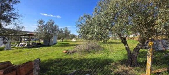  Land in Alandroal, Portugal No. 239418 4