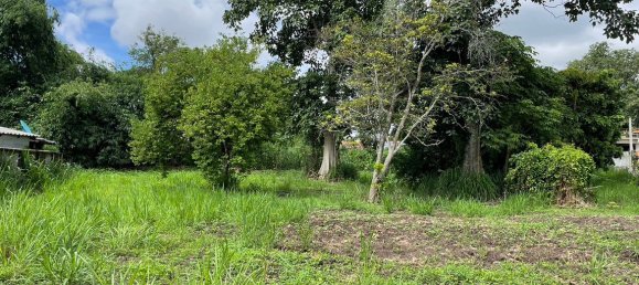 20 bedrooms Commercial property in Chiang Mai, Thailand No. 9118 9