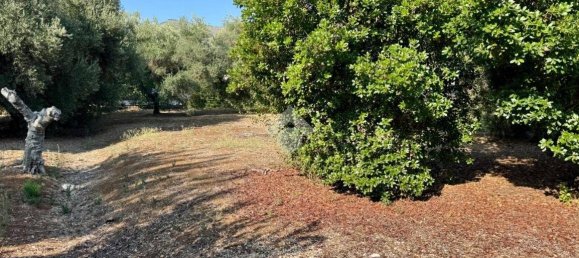 3 bedrooms Villa in Sonnino, Italy No. 309241 43