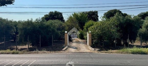 3 bedrooms Villa in Sonnino, Italy No. 309241 44