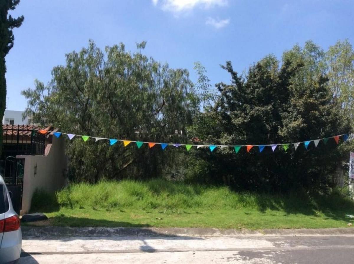  قطعة أرض في Ciudad Lopez Mateos, Mexico رقم 206345