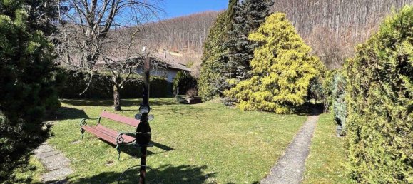 3 rooms Bungalow in Klosterneuburg, Austria No. 238063 22