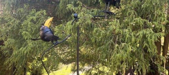 3 rooms Bungalow in Klosterneuburg, Austria No. 238063 28