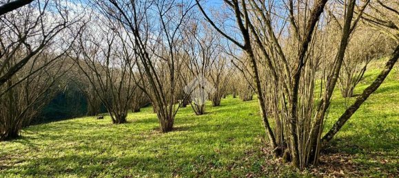 Grundstück in Caprarola, Italy 7176m², Nr. 30610 7