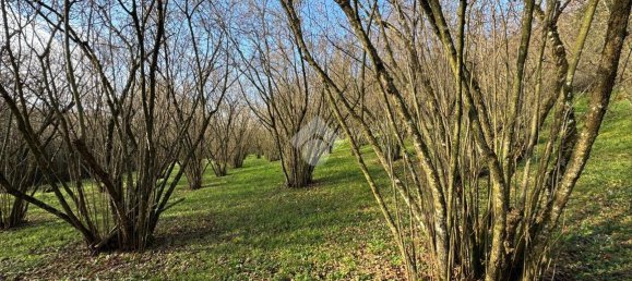 Grundstück in Caprarola, Italy 7176m², Nr. 30610 2