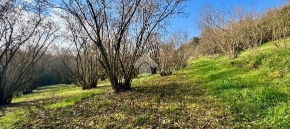 Grundstück in Caprarola, Italy 7176m², Nr. 30610 6