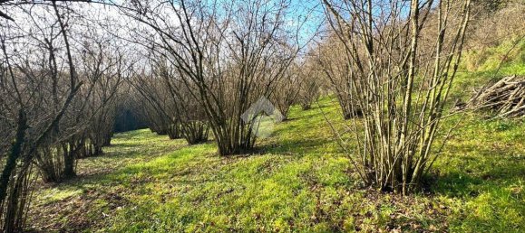 Grundstück in Caprarola, Italy 7176m², Nr. 30610 3