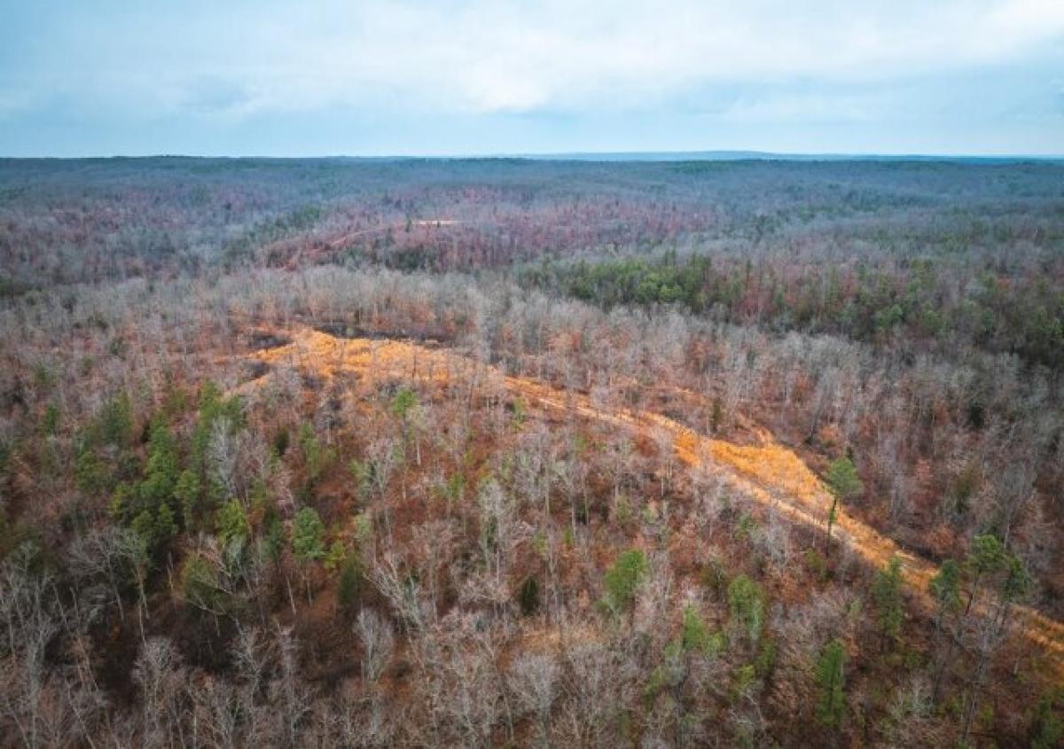  Land in Richwoods, USA No. 511319