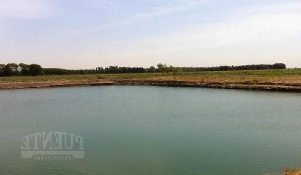  Land in Esteban Echeverria, Argentina No. 36903