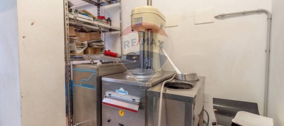 140m² Commercial property in Poviglio, Italy No. 379328 22