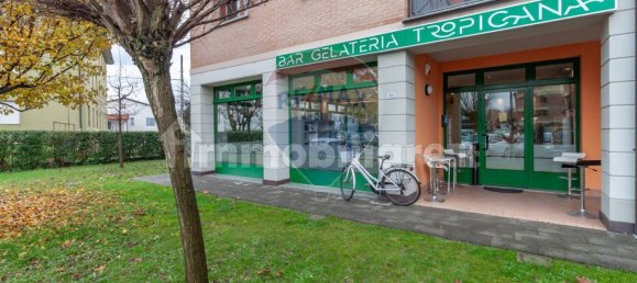 140m² Commercial property in Poviglio, Italy No. 379328 33