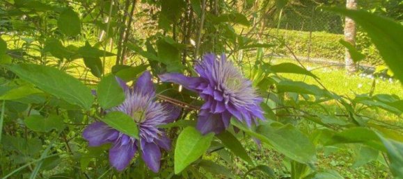 4-Zimmer Haus in Velden am Wörther See, Austria, Nr. 178954 4