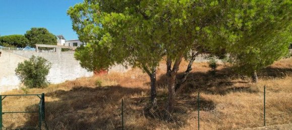 3326m² Land in Montenegro, Portugal No. 142325 12