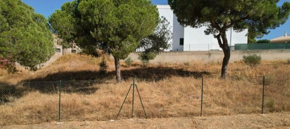 3326m² Land in Montenegro, Portugal No. 142325 13