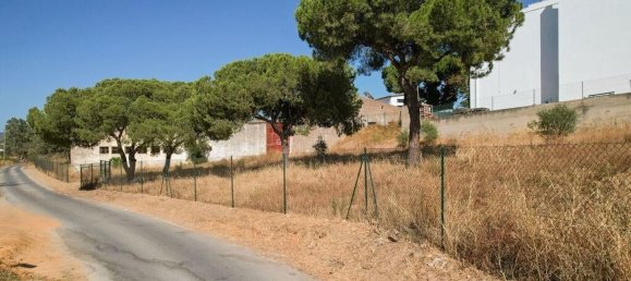 3326m² Land in Montenegro, Portugal No. 142325 15