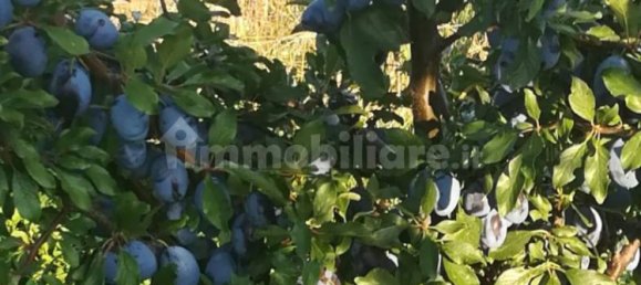 2 bedrooms House in Castellammare del Golfo, Italy No. 261821 38