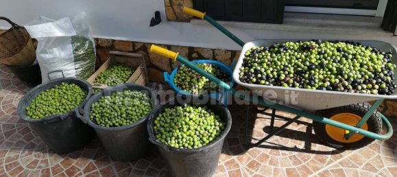 2 bedrooms House in Castellammare del Golfo, Italy No. 261821 44