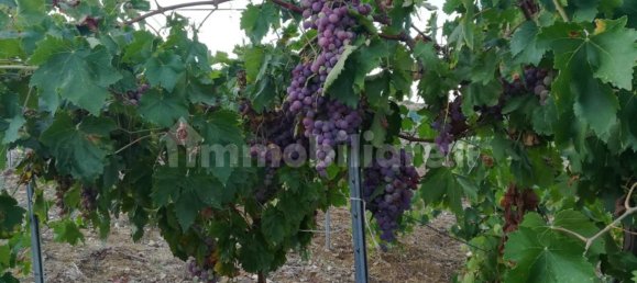 2 bedrooms House in Castellammare del Golfo, Italy No. 261821 41