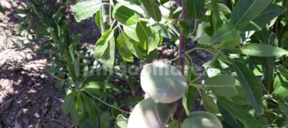 2 bedrooms House in Castellammare del Golfo, Italy No. 261821 49