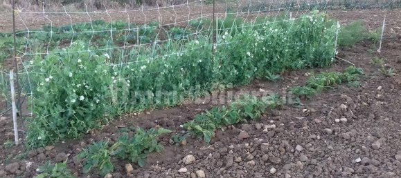 2 bedrooms House in Castellammare del Golfo, Italy No. 261821 50